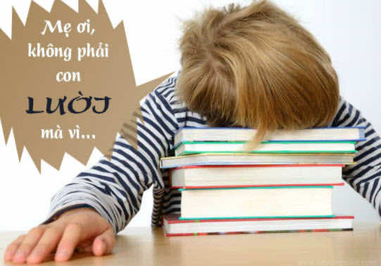 ố mẹ cần phải trang bị bộ bàn ghế học sinh đúng chuẩn để có không gian phù hợp sở thích của bé nhé