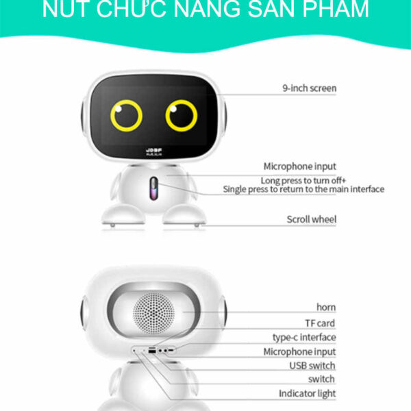 ANH1 1