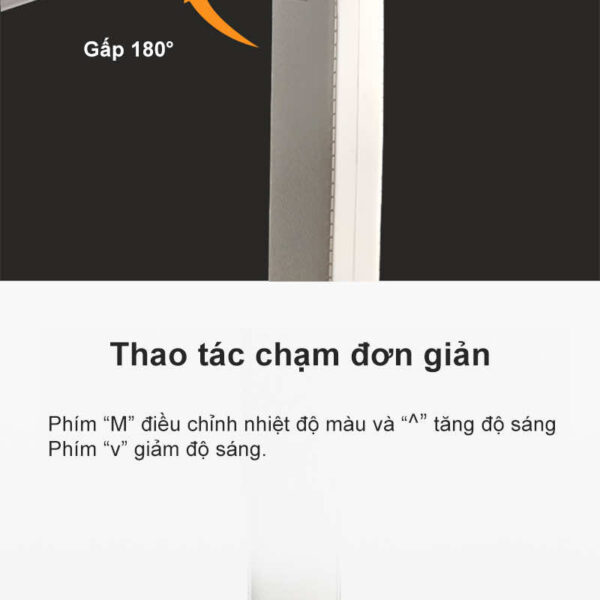 anh2