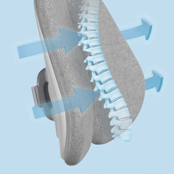 tua lung 3d bsuc