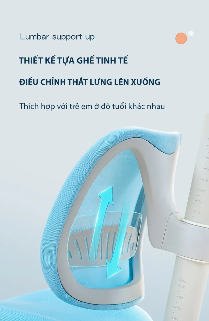 Tựa lưng có thể điều chỉnh lên xuống dễ dàng