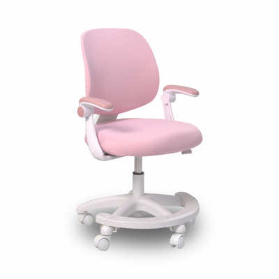 Giới thiệu về ghế chống gù lưng