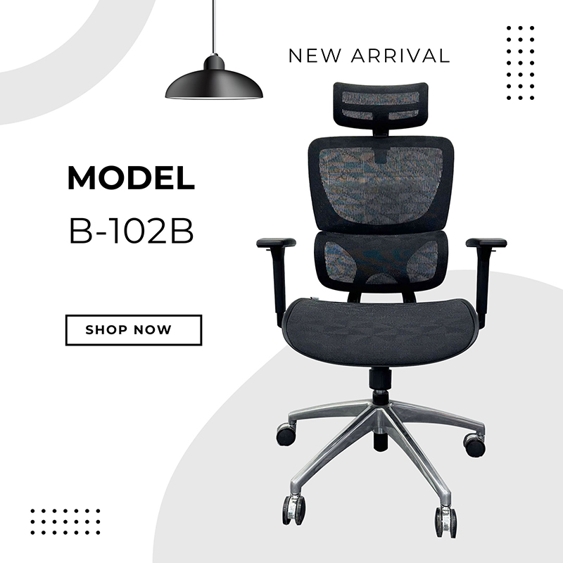 Ghế công thái học B-102B Black - Ảnh 05