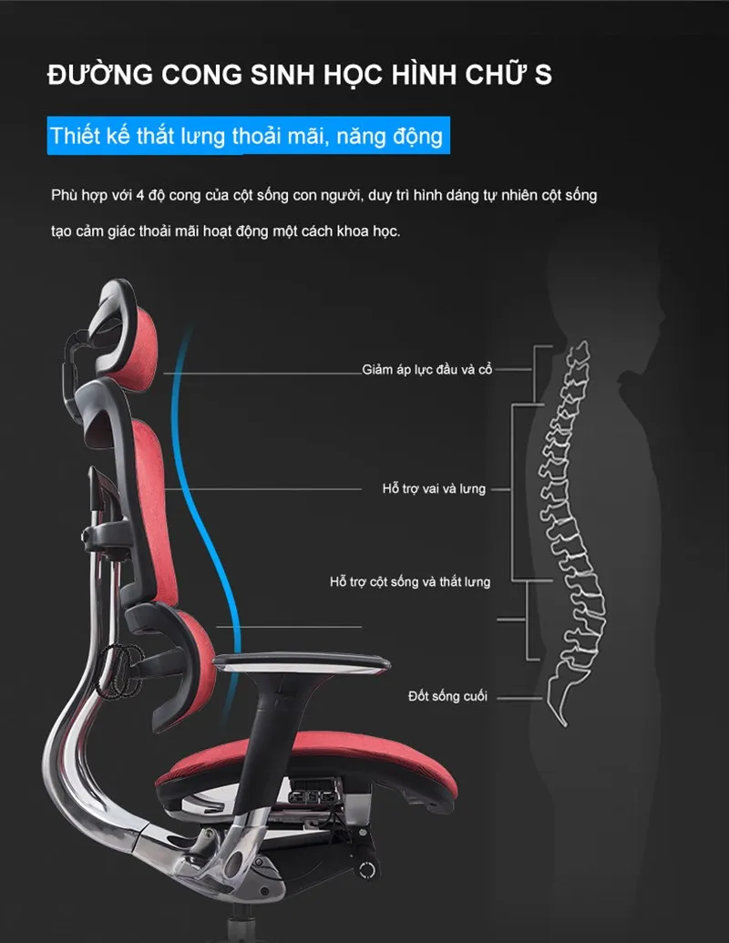 Thiết kế Công thái học hỗ trợ các bộ phận đầu, cổ, vai, gáy và lưng