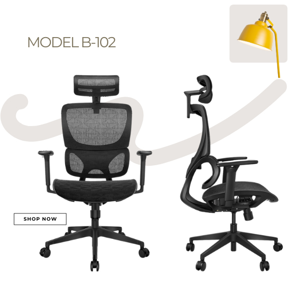 Ghế Công Thái Học B102