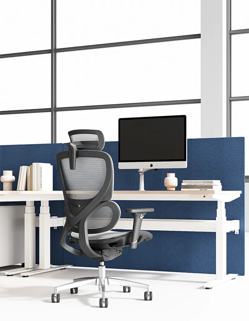 Ghế công thái học Ergonomic chair B-102B 2 Ghế Công Thái Học Văn Phòng B102B