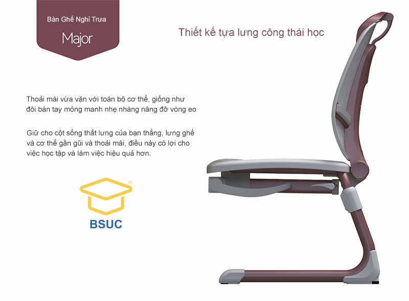 Thiết kế tựa lưng công thái học