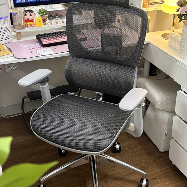 Ghế Công Thái Học B 1018D Ghi