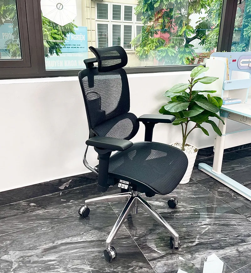 Ghế công thái học cao cấp B-1018D ảnh 02 Ghế công thái học cao cấp B-1018D ảnh 02