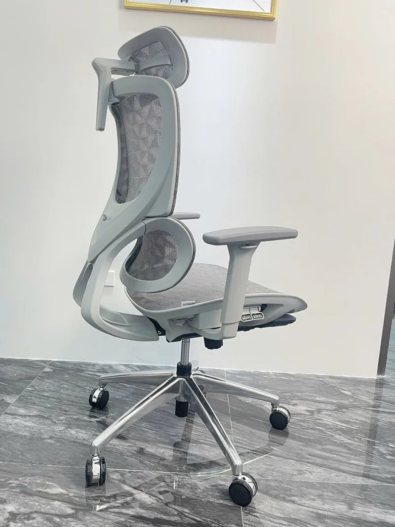 Ghế công thái học B-102B màu ghi, chân hợp kim nhôm ảnh 02 Ghế công thái học B-102B màu ghi, chân hợp kim nhôm ảnh 02