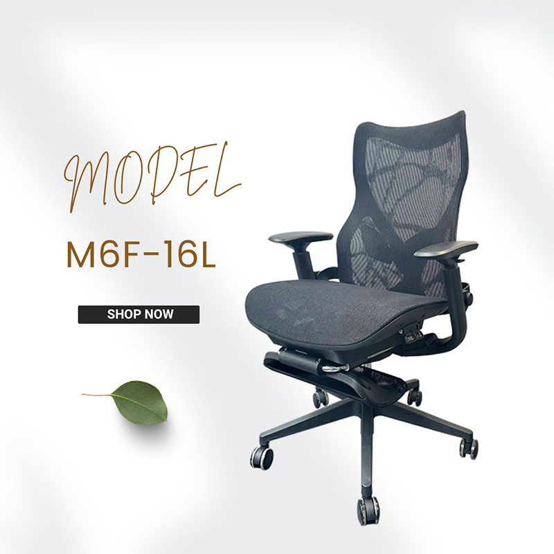 Ghế Công Thái Học M6F 16L