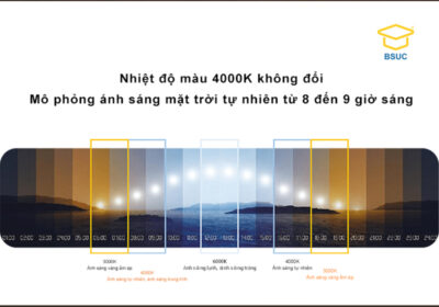 Đèn Thông Minh AI điều Khiển Giọng Nói M100J 10