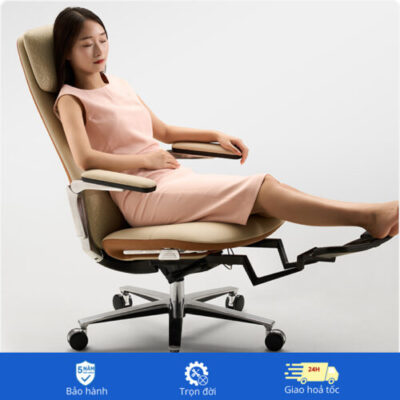 Khung ảnh Ghế Công Thái Học   23