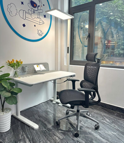 Bàn Nâng điện A12001ev1 Và Ghế Công Thái Học BC 102bv1 Ảnh 02