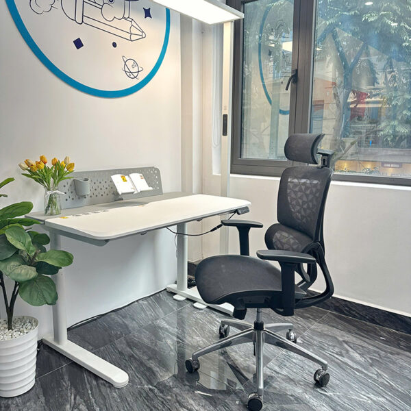 Ghế Công Thái Học B 102B Góc 01